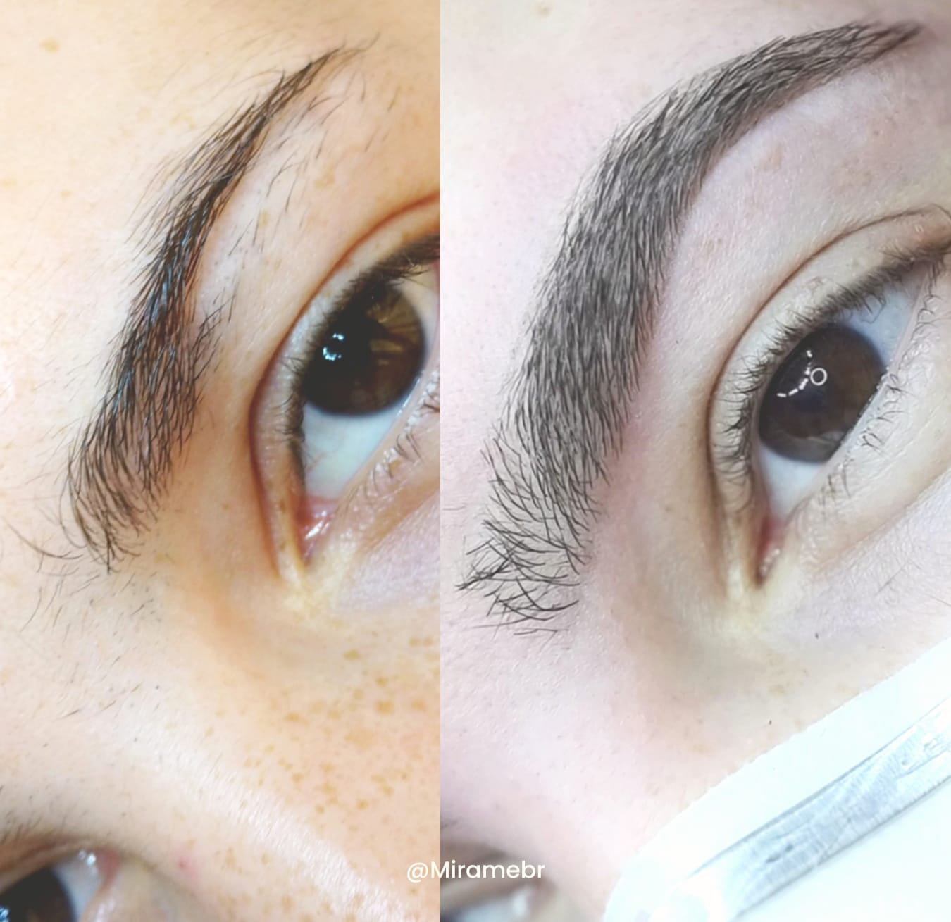 PHOTO-2023-11-20-15-50-42 2